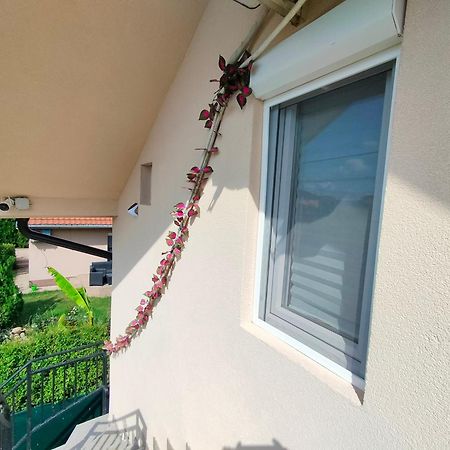 A1 - Airport Belgrade Apartment Екстер'єр фото